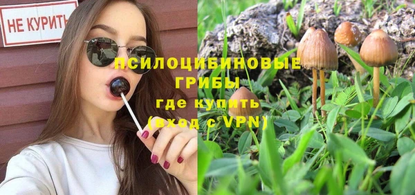 дмт Бронницы
