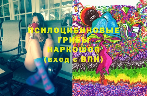 соль курить ск Бородино