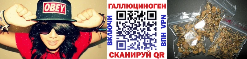 Псилоцибиновые грибы Psilocybe  Мирный 